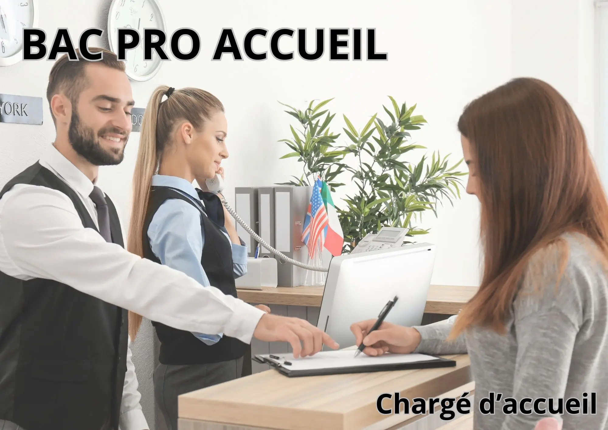 bac pro accueil