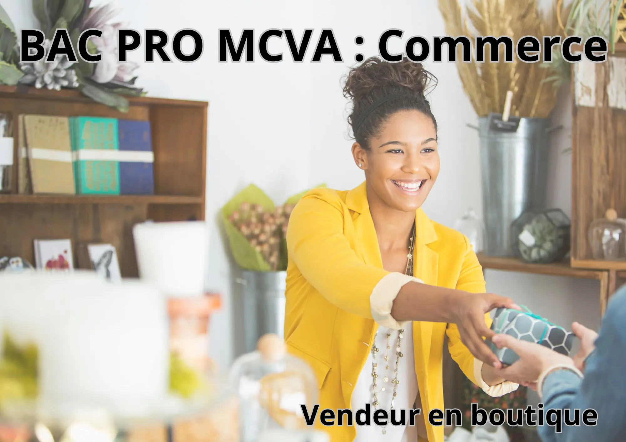 bac pro mcva commerce