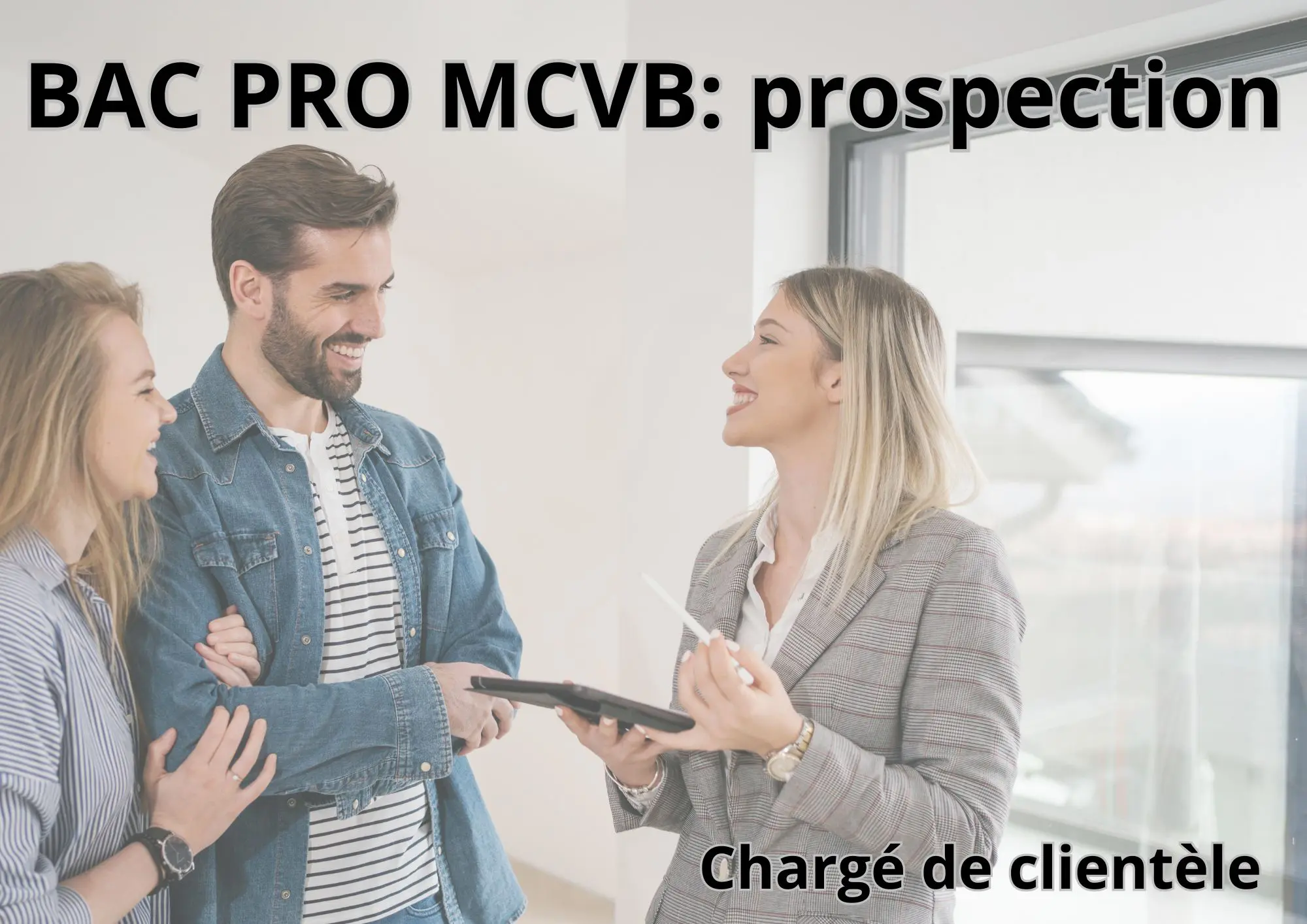 bac pro mcvb prospection